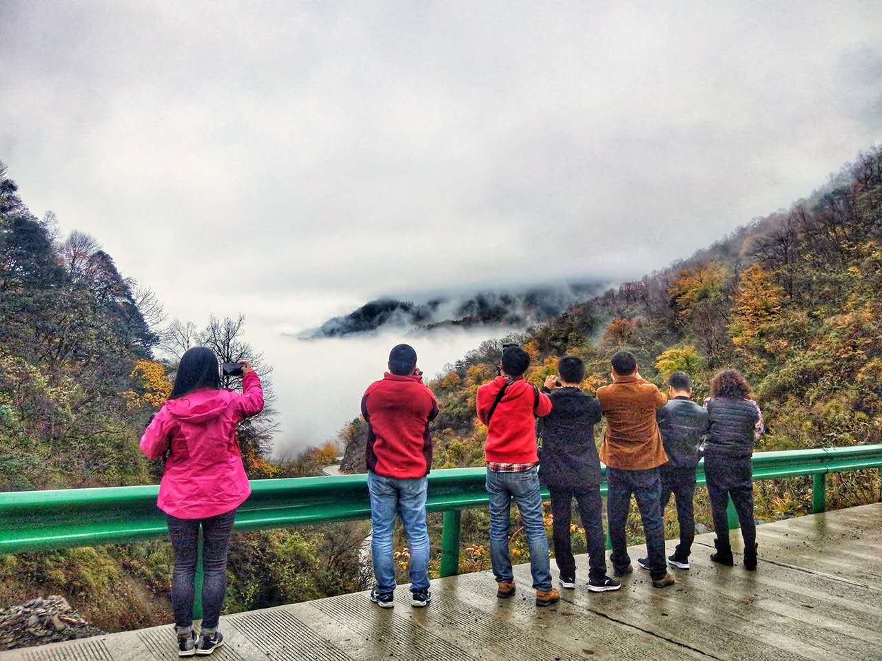 秋景西安好去处,雨后遇晴天留坝寻秋色