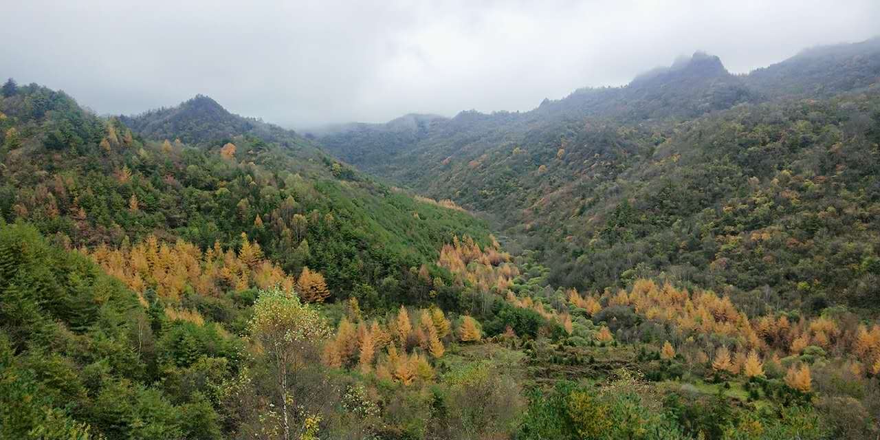 秋景西安好去处,雨后遇晴天留坝寻秋色