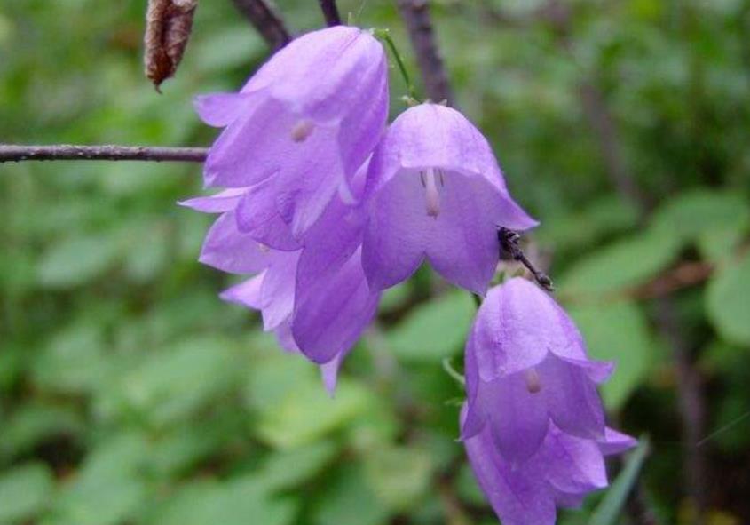 没有脾气才是一个人最好的修养,对于没脾气的人是怎么样的看法