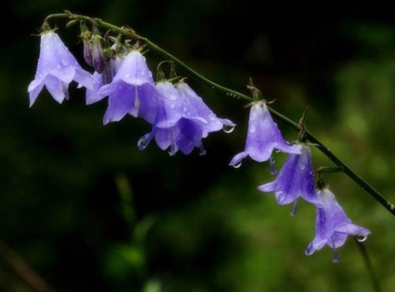 没有脾气才是一个人最好的修养,对于没脾气的人是怎么样的看法