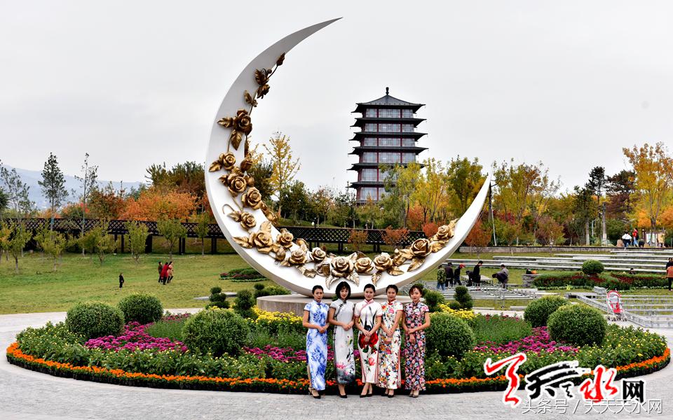 天水麦积菊展,金秋菊展日记