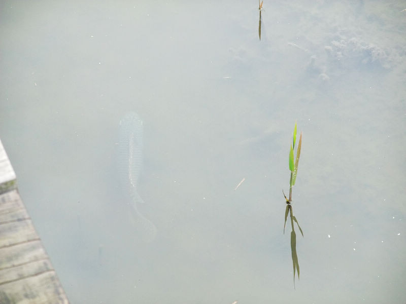 穷驴500块囧囧游香港（详细攻略带图）