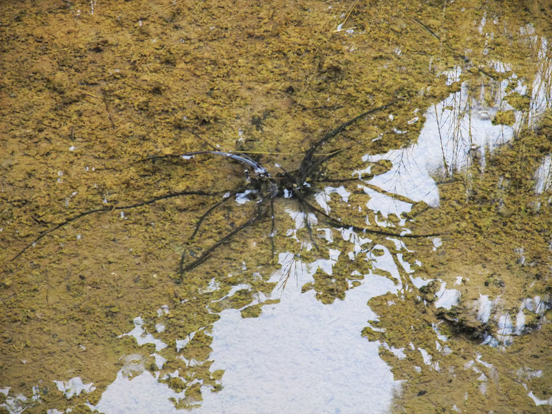 穷驴500块囧囧游香港（详细攻略带图）