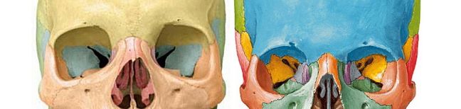 女装大佬全身连体面具,女装大佬戴女生面具