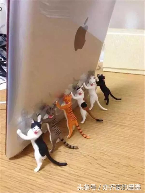 自从用了国外的情趣用品，整个人都精神了！