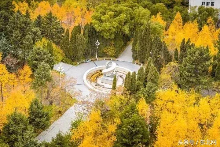 哈尔滨高校打卡,哈尔滨的风向标著名打卡地