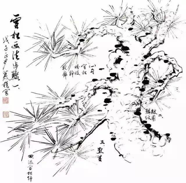 松树怎么画简单又漂亮国画,又简单又好看的松树怎么画
