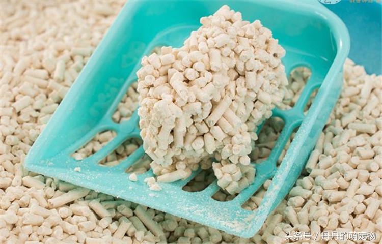 玉米猫砂的危害,玉米猫砂的缺点