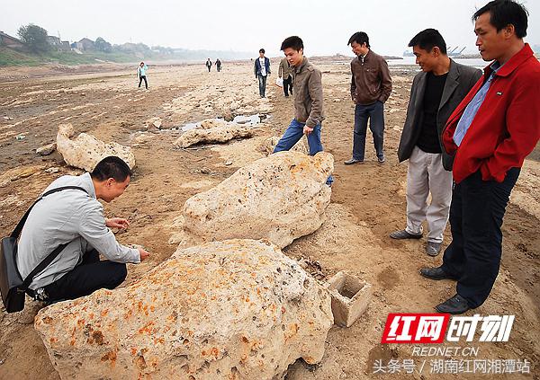 千里湘江第一湾照片,湘潭湘江铁牛