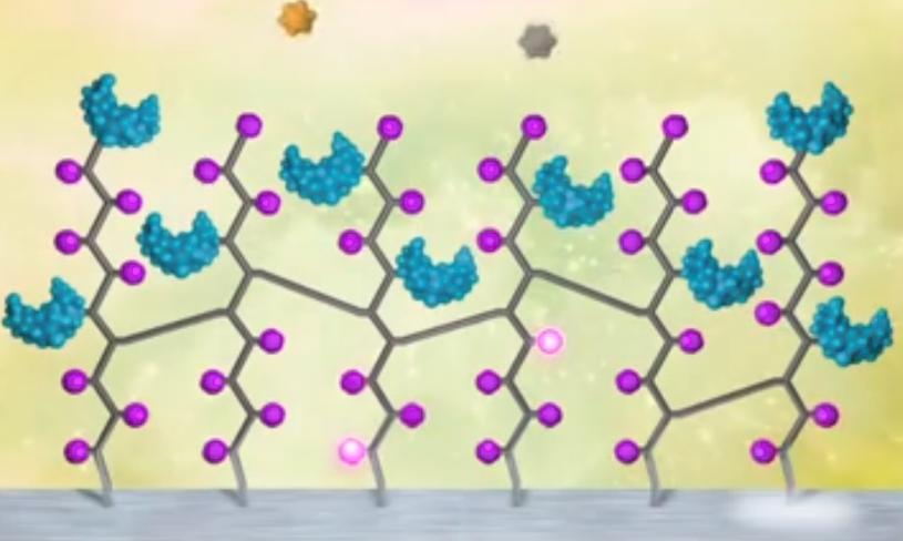 体内植入定位芯片,体内植入微型芯片