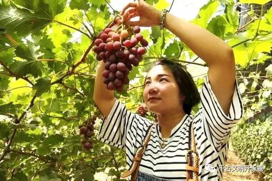 涿鹿发展,涿鹿县的发展