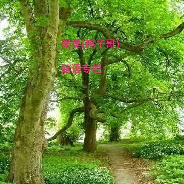 字谜大全100个及解答,再来一个简单的谜语