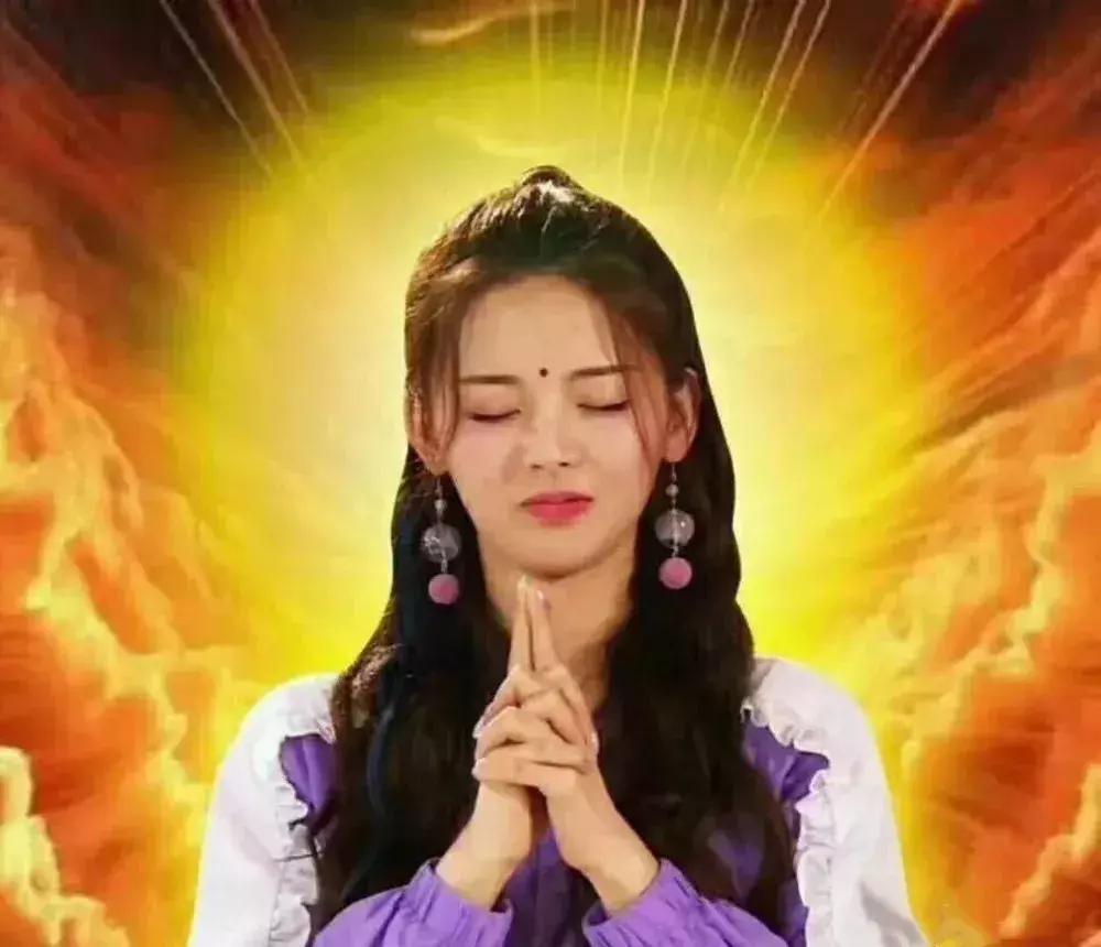 简述一下锦鲤的简史与演变,锦鲤的前世今生