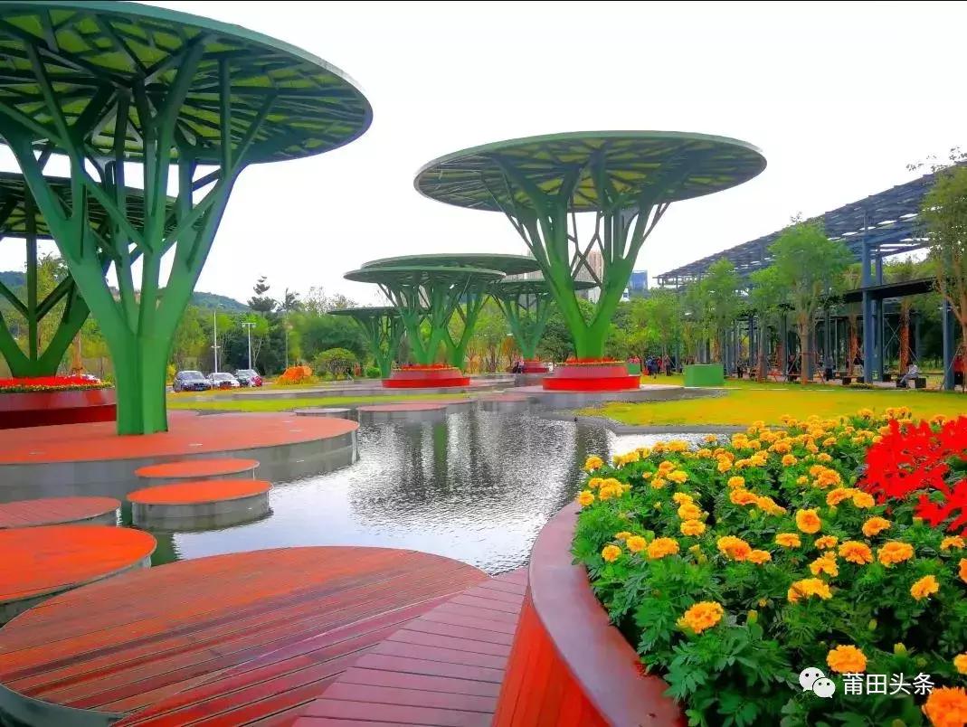 在莆田不能问什么,莆田问题回答