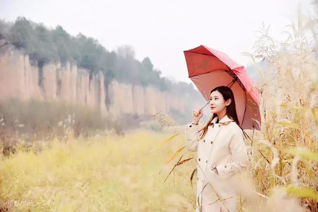 红土林景点,合水红土林