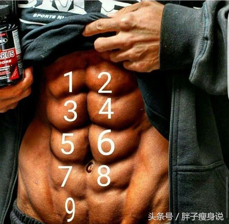 要想认清腹肌有哪些简单动作,想要好看的腹肌这四个动作就够了