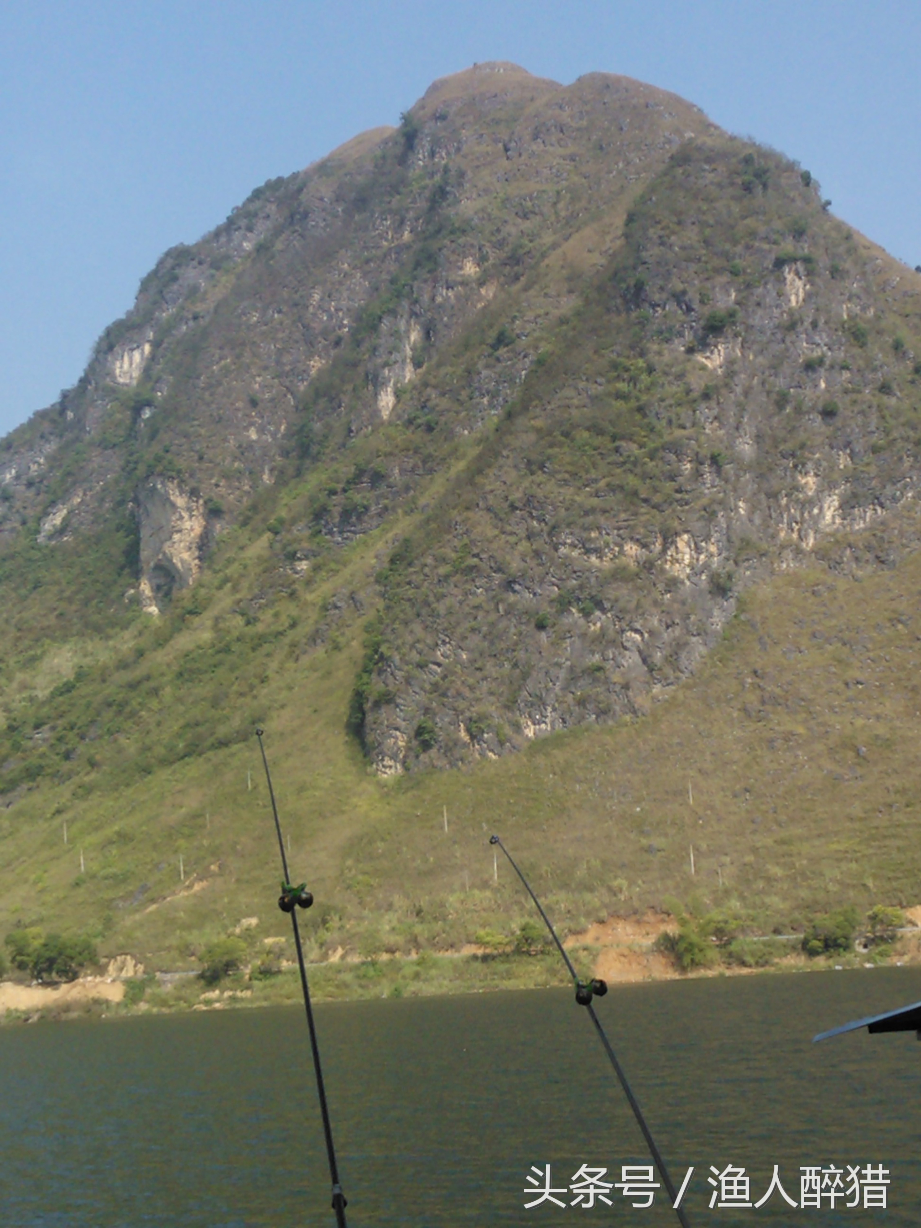 用玉米粒钓鱼怎样上钩,丁香酒泡玉米粒钓鱼效果怎么样