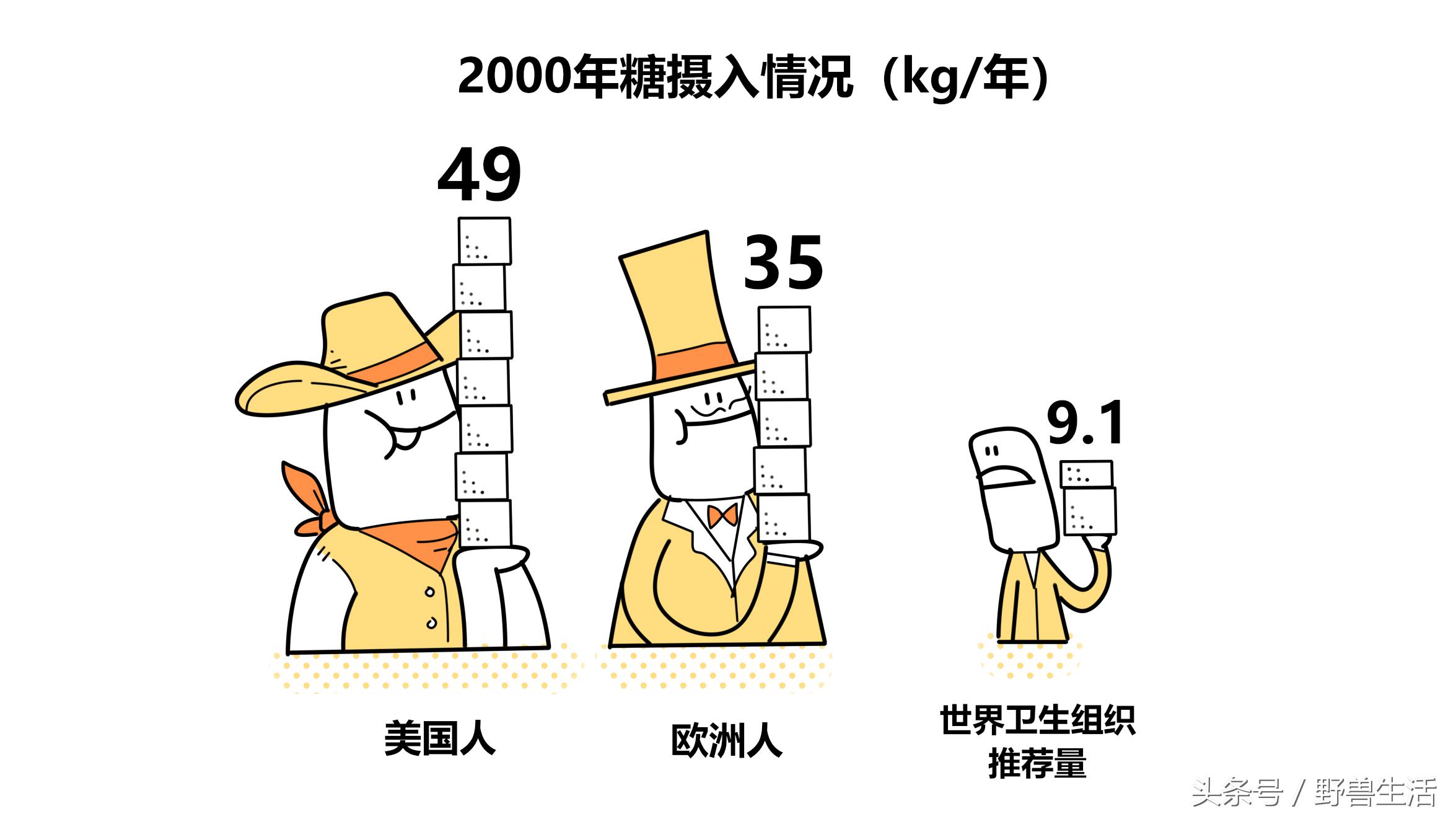 碳水化合物都是对身体有害的吗,不吃或少吃碳水化合物的危害