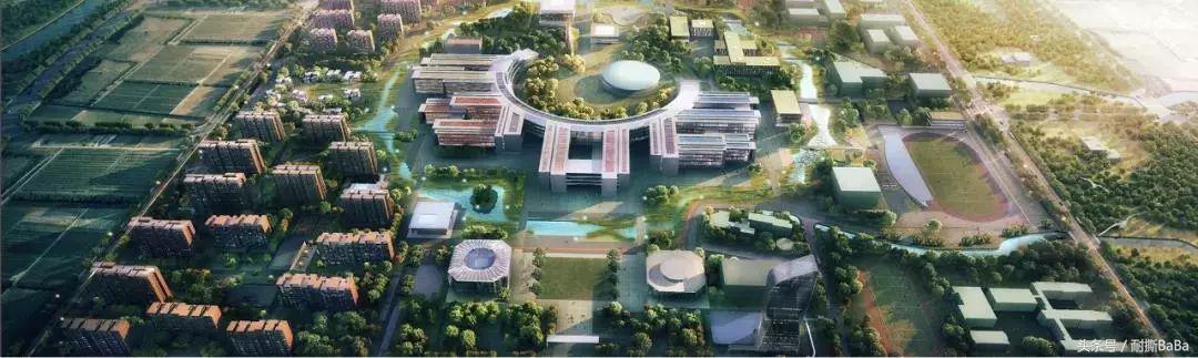 杭州多了新大学，私立学校竟让学生吃霉变食物？北京名校教学改革