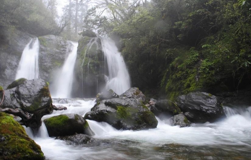 百慕大黑竹沟未解之谜,黑竹沟百慕大三角探险