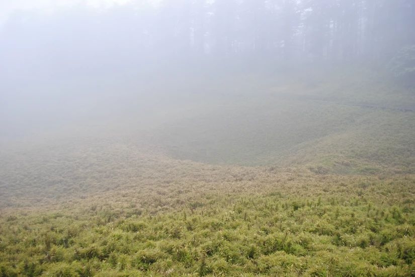百慕大黑竹沟未解之谜,黑竹沟百慕大三角探险