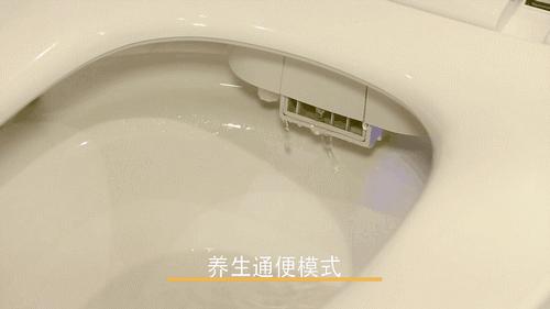 箭牌智能马桶深度解析,箭牌智能马桶v6马桶上的4个按键