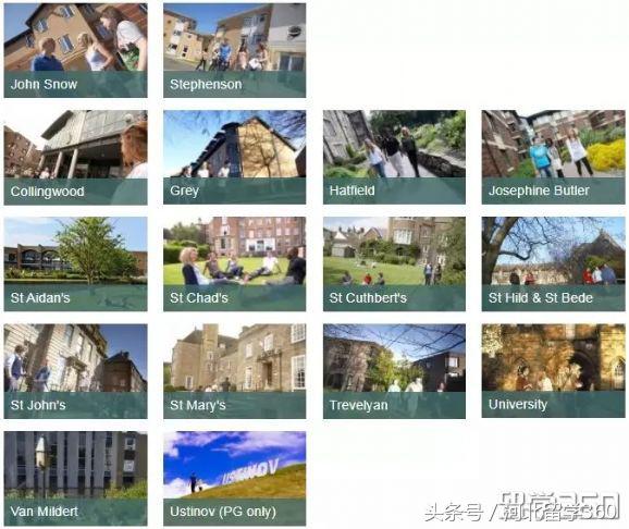 杜伦大学各学院专业介绍,英国杜伦大学商科前50排名