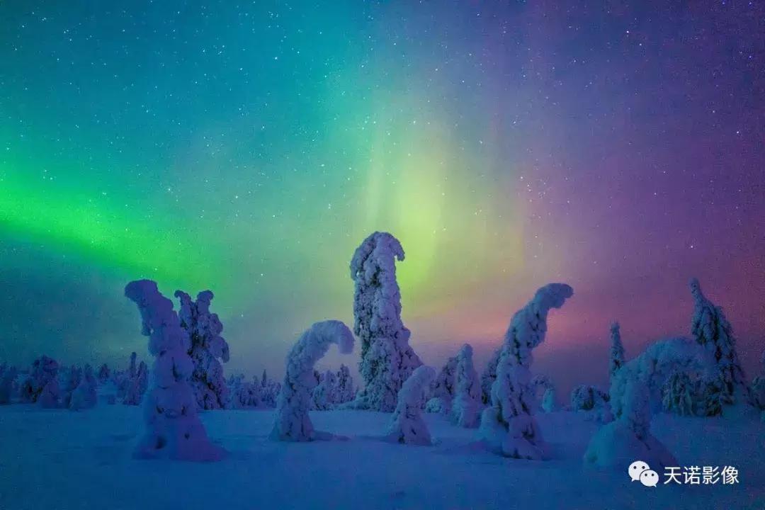 徕卡q116欧洲售价,徕卡qtyp116相机怎么样