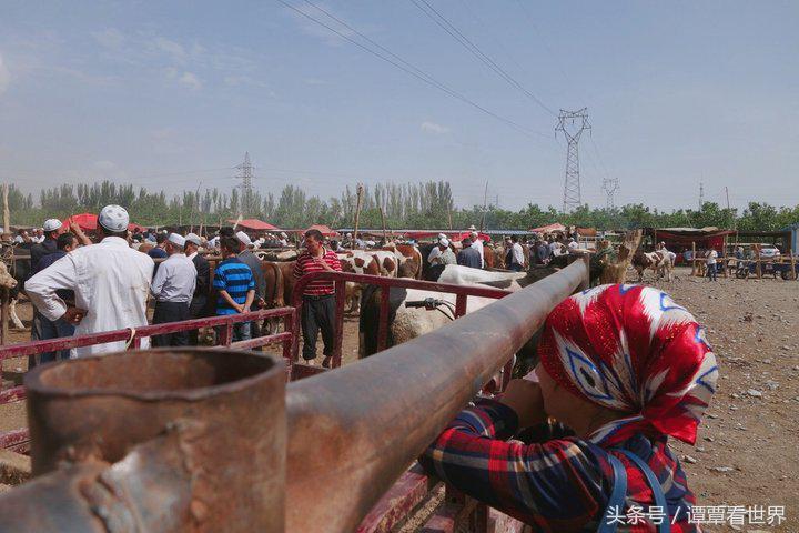 令人大开眼界的车,喀什牛羊大巴扎有意思吗