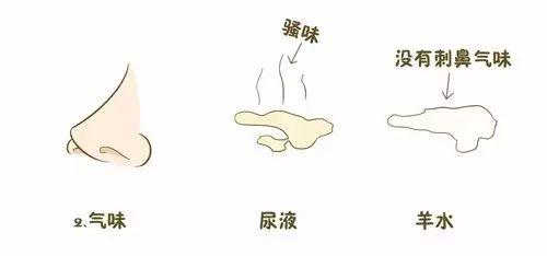 如何区分破水和漏尿,破水还是漏尿用这三招快速区分