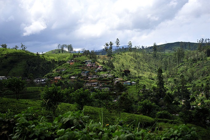 人文摄影斯里兰卡,锡兰风景