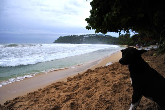 人文摄影斯里兰卡,锡兰风景