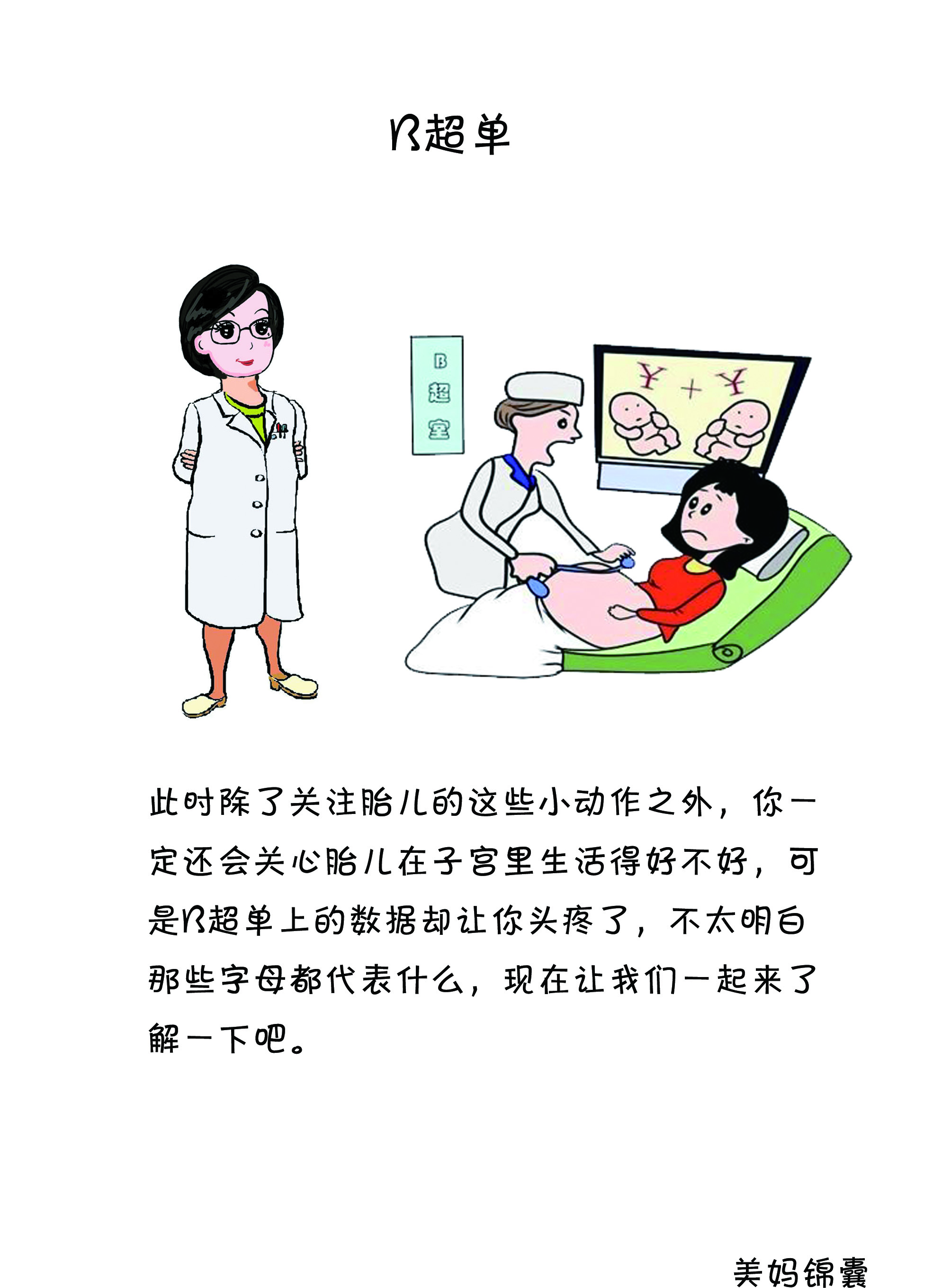 如何看b超单双肾图像,如何看b超单图像是圆形还是长形