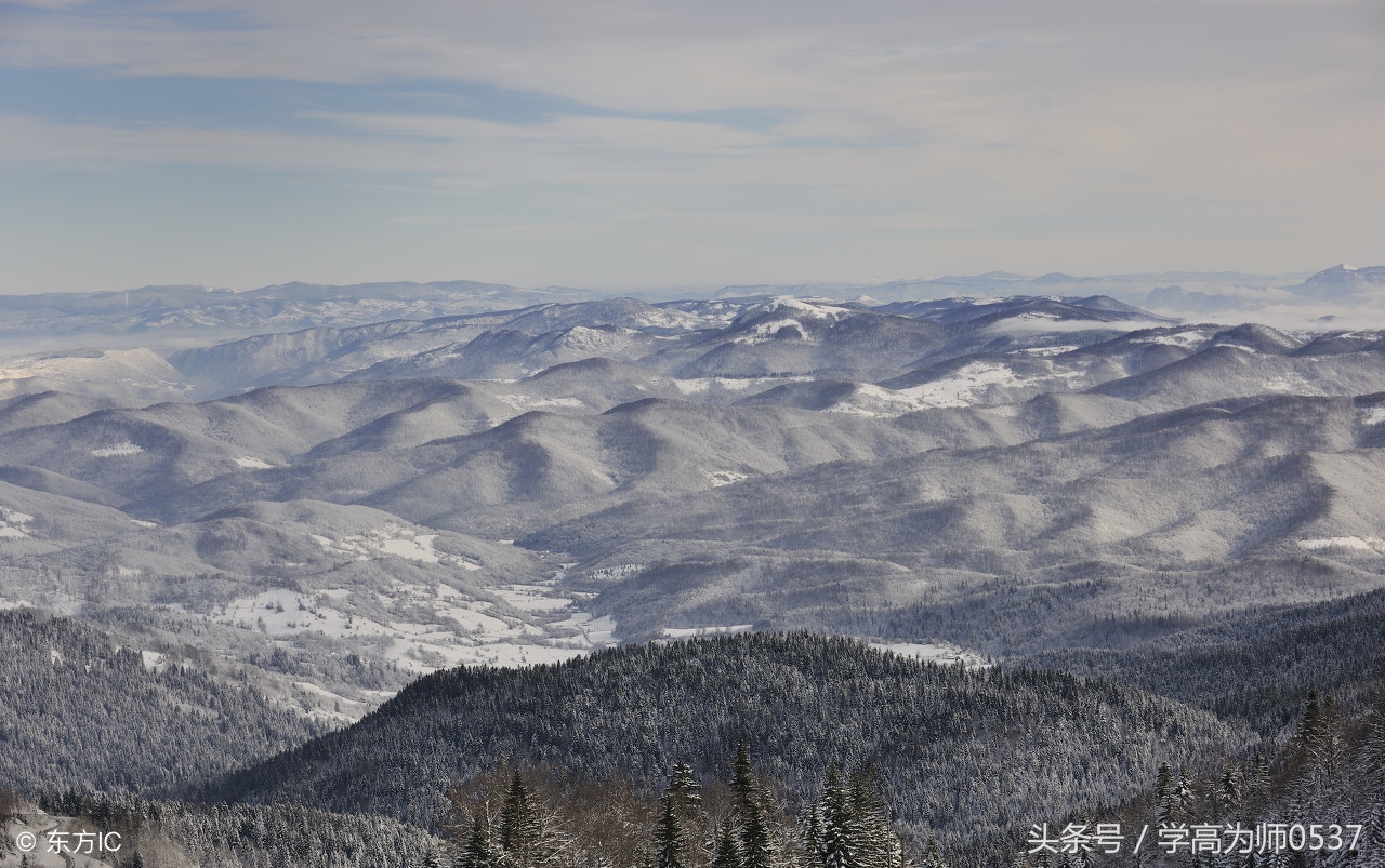 赞美花的古诗词名句,小学生必背古诗词75首写花
