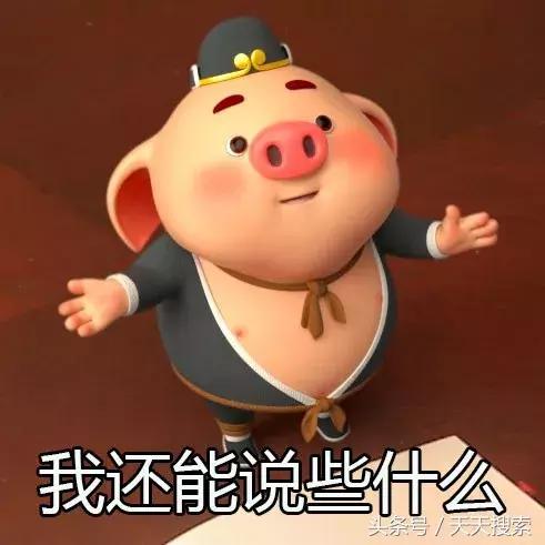 藏香猪卡C位的另类奋斗史