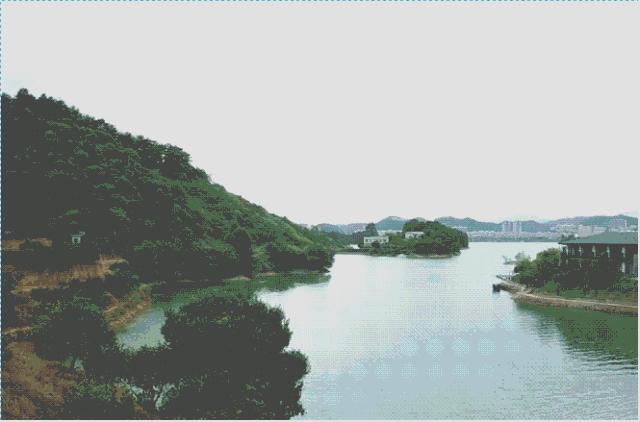 大叔为钓鱼买下一座岛,40岁大叔100块改造房间