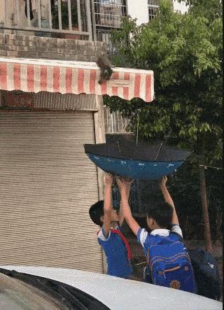 “如果被萌坏了,我帮你叫110救护车!”