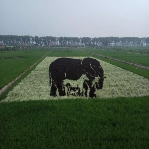 代理商买产品会问什么问题,医药代理商需要问哪些问题