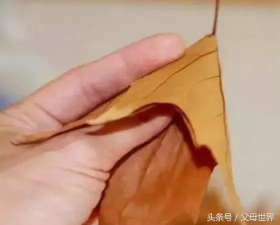 把秋天的落叶变成手工艺术品,秋天大自然手工创意