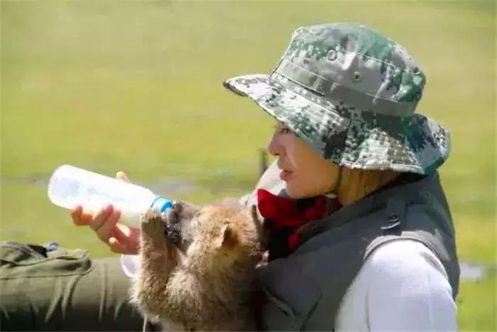 女孩收到父亲赠送的小奶狗，朝夕相处一年多，最后发现是野狼！