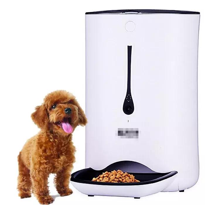 泰迪拒食,泰迪挑食不吃狗粮怎么办呢