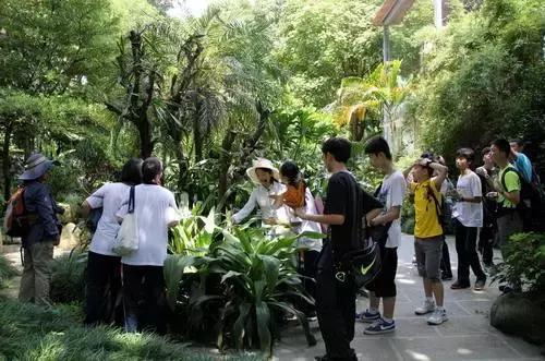 幼儿园秋游活动方案,幼儿园秋游活动准备通知