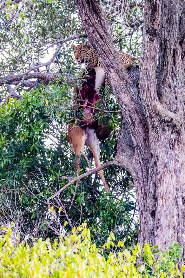 去非洲旅行，如何寻找拍摄题材？