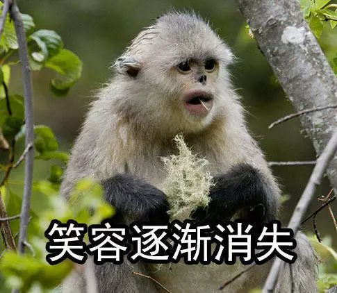 玻尔：丹麦国脚踢进奥运会斩获银牌，跨界当数学家还是菲尔兹主席