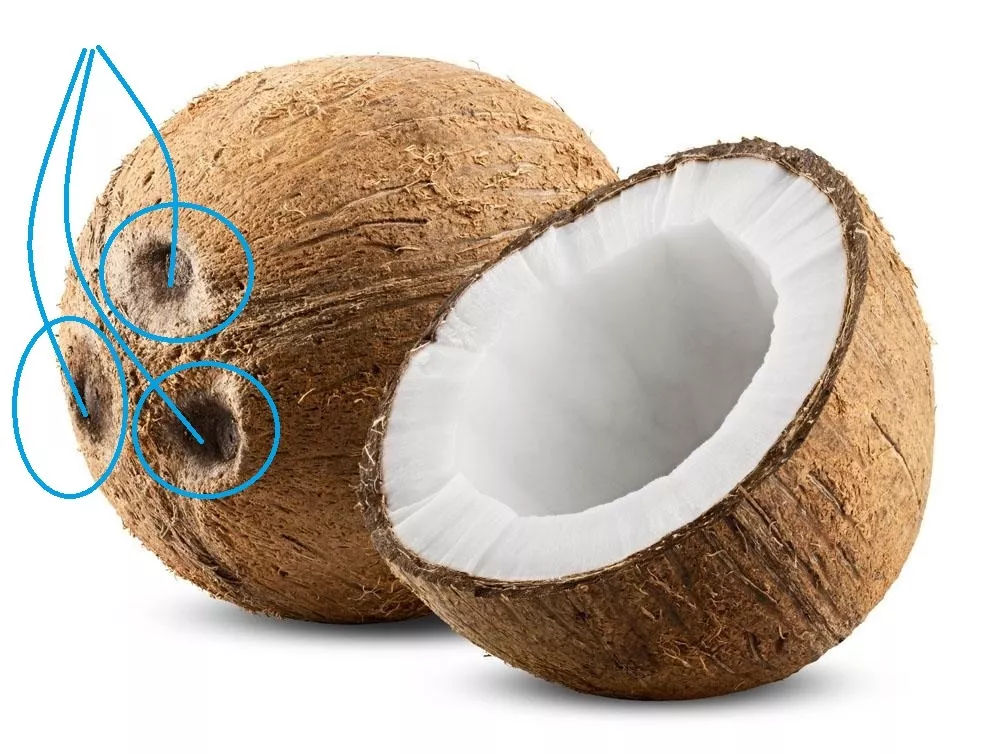 生气回奶怎么能尽快恢复,生气回奶了吃什么可以最快恢复