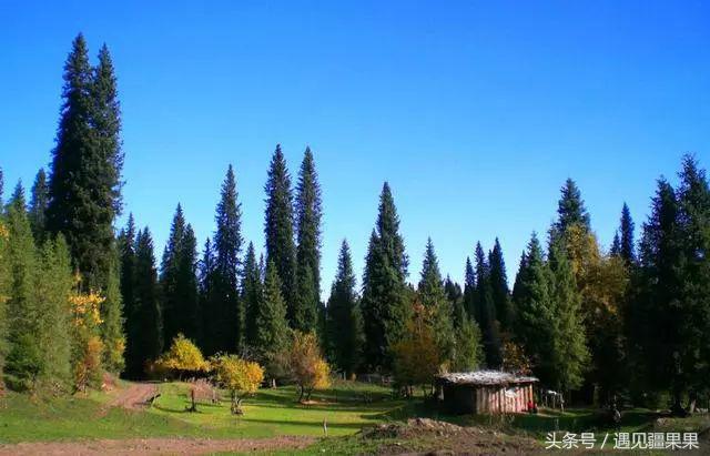 伊犁最美旅游风景区,伊犁旅游攻略探索最美风光