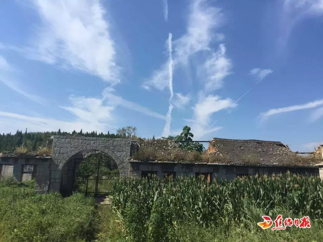 风景变“钱景”，贫困村变明星村，修武县如何实现华丽逆转？