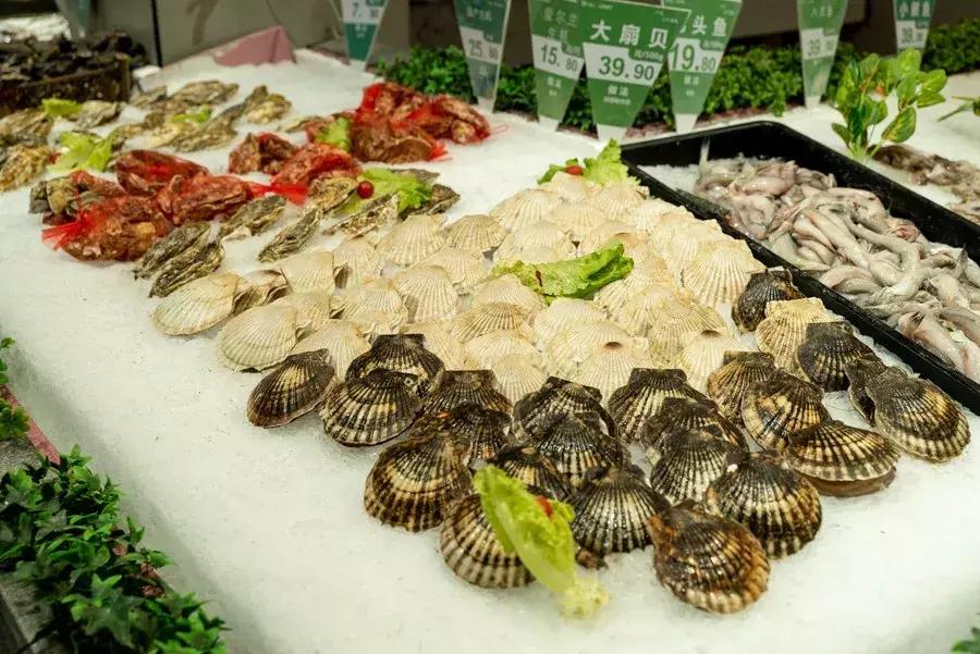 逛水族馆满脑子都是海鲜,水族馆里的海鲜