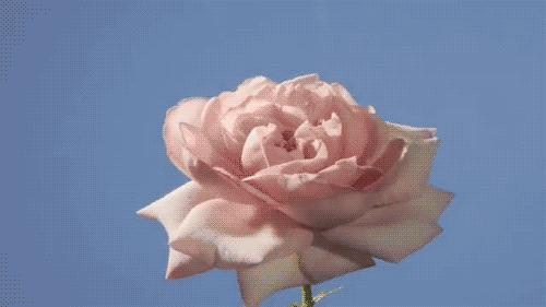 公益广告999感冒灵,周华健999感冒灵广告视频