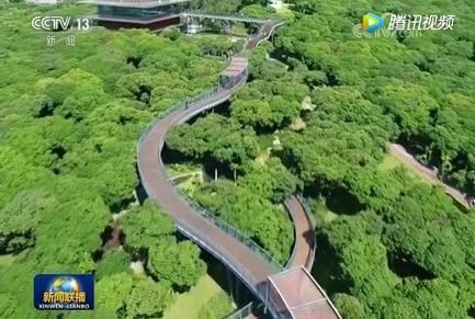 深圳周边遛娃免费地点推荐,深圳南山遛娃好去处